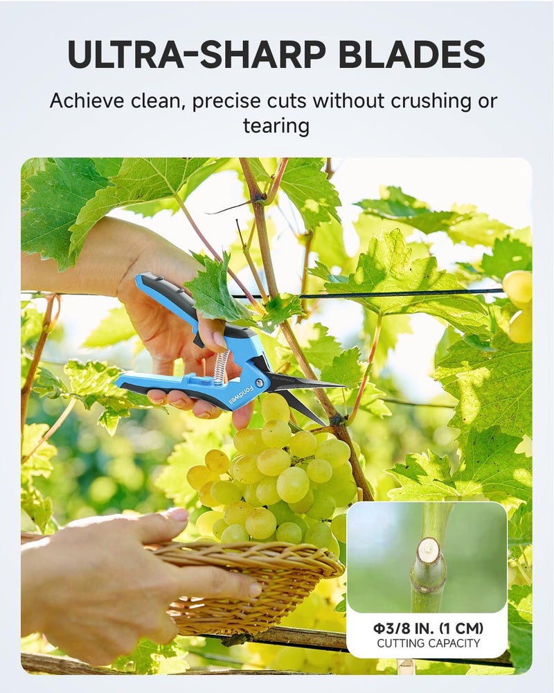 Fondwell 6.5" Pruning Shears Trimming Scissors: 2 Pack of Non-Stick Gardening Scissors - Reliable Garden Snips for Managing Small Plants - Image 3